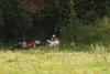 2009-08-23_ntb_6652