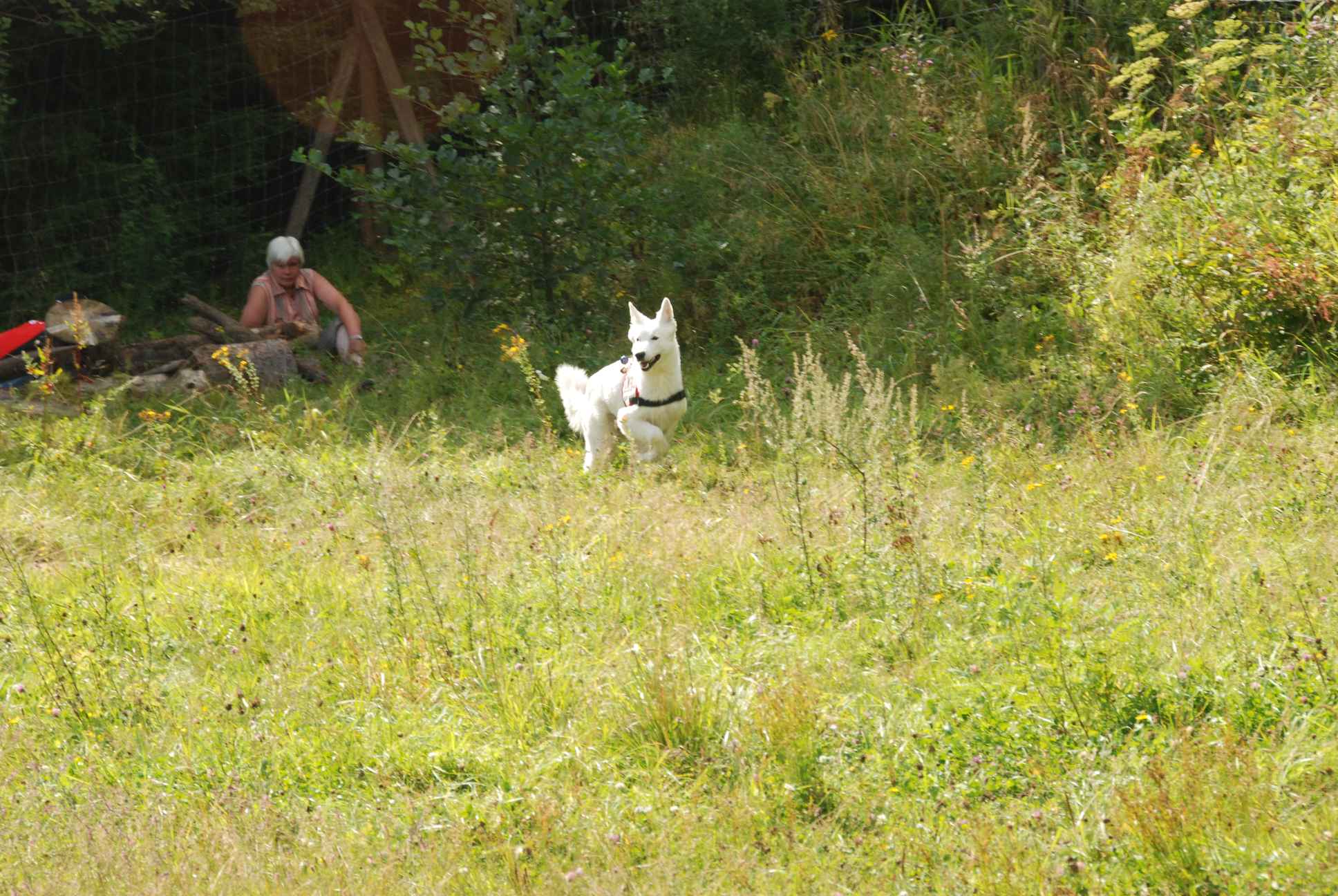 2009-08-23_ntb_6653