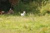 2009-08-23_ntb_6653