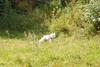 2009-08-23_ntb_6654