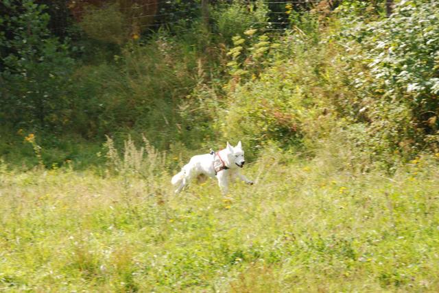 2009-08-23_ntb_6654