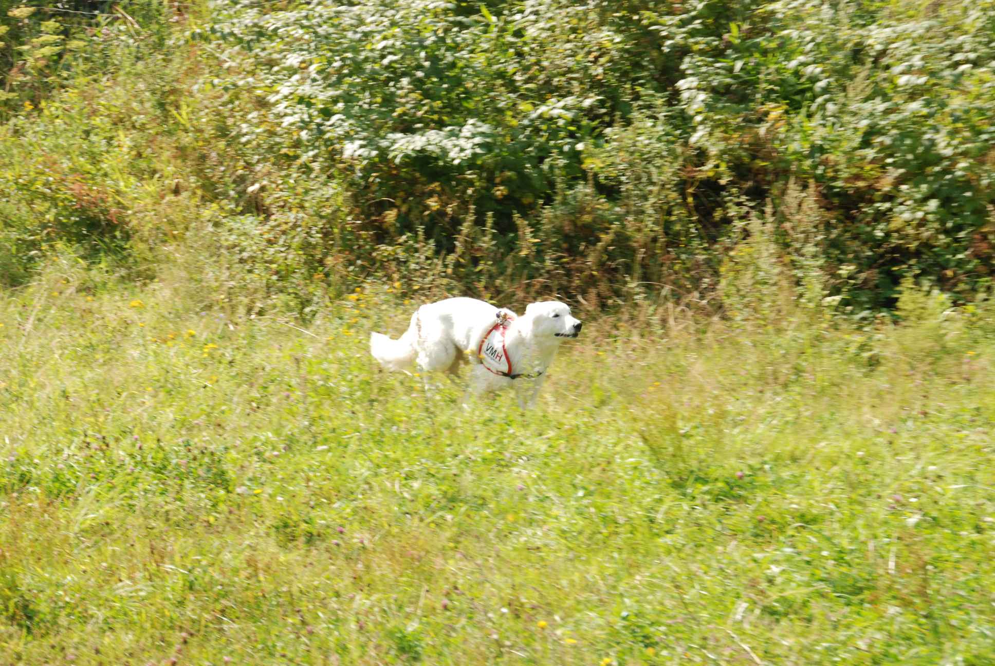 2009-08-23_ntb_6655