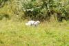 2009-08-23_ntb_6655