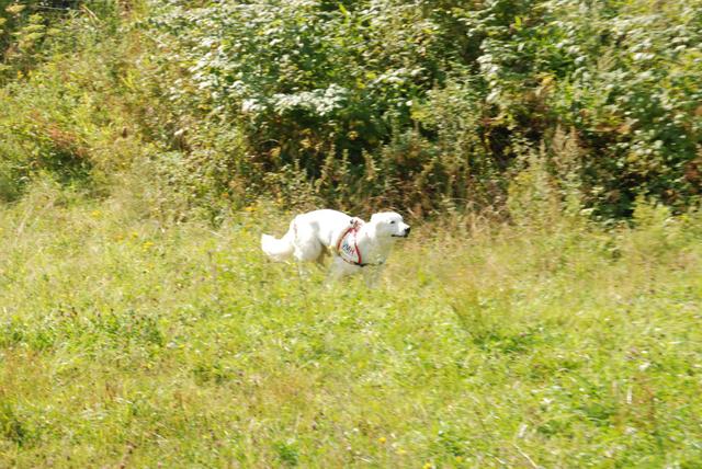 2009-08-23_ntb_6655
