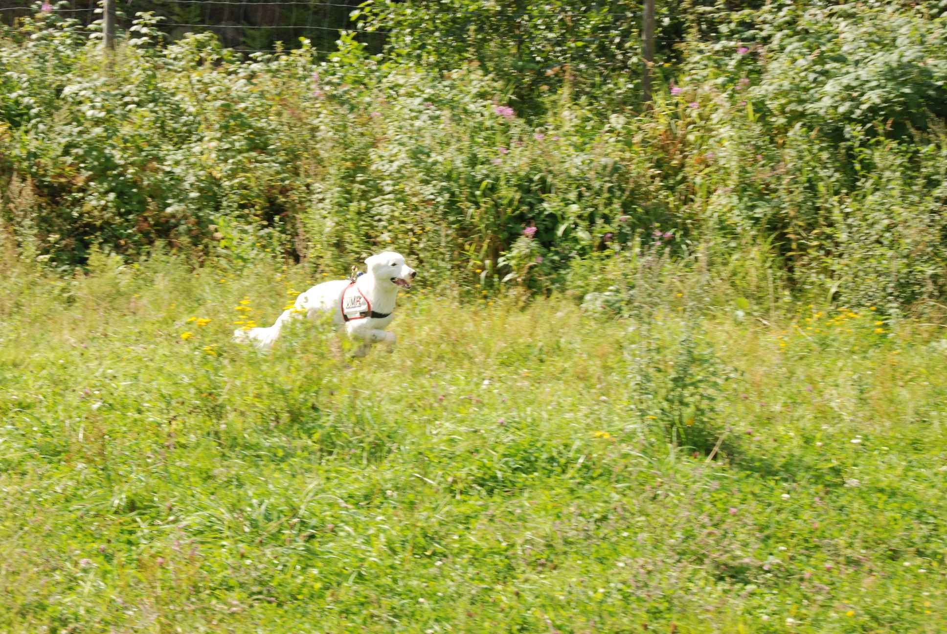 2009-08-23_ntb_6656