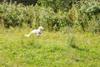 2009-08-23_ntb_6656