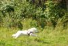 2009-08-23_ntb_6657