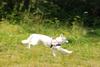 2009-08-23_ntb_6658