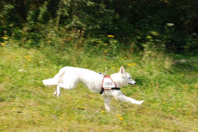 2009-08-23_ntb_6658