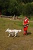 2009-08-23_ntb_6668