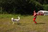 2009-08-23_ntb_6669