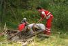 2009-08-23_ntb_6674