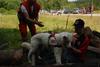 2009-08-23_ntb_6676
