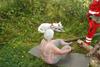 2009-08-23_ntb_6699