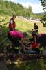 2009-08-23_ntb_6701