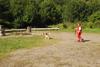 2009-08-23_ntb_6752