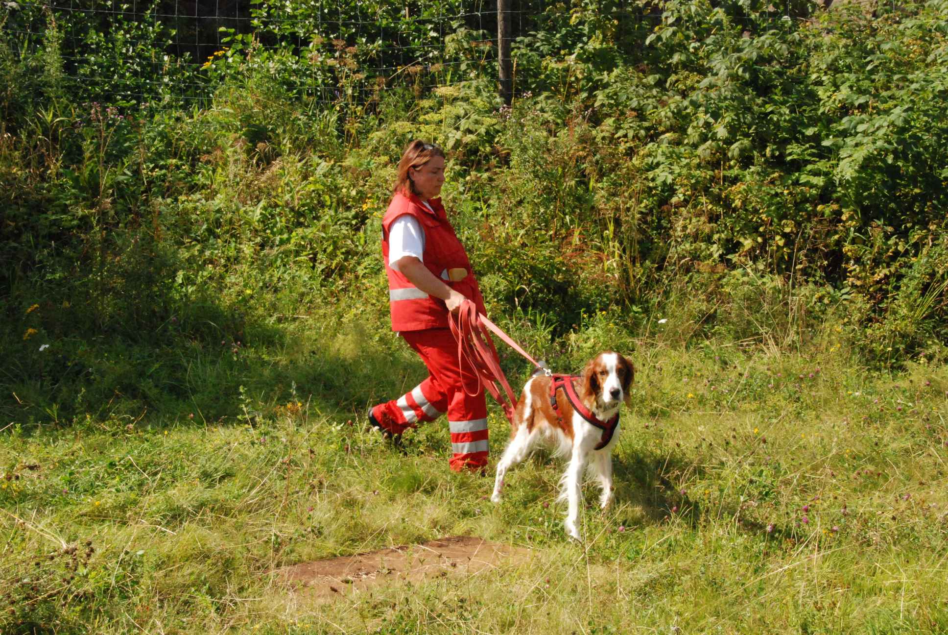 2009-08-23_ntb_6763