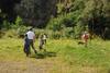 2009-08-23_ntb_6792