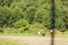 2009-08-23_ntb_6796