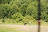 2009-08-23_ntb_6797