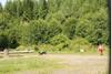 2009-08-23_ntb_6799