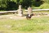 2009-08-23_ntb_6809