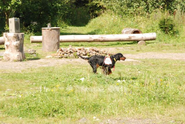 2009-08-23_ntb_6810
