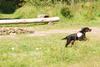 2009-08-23_ntb_6811