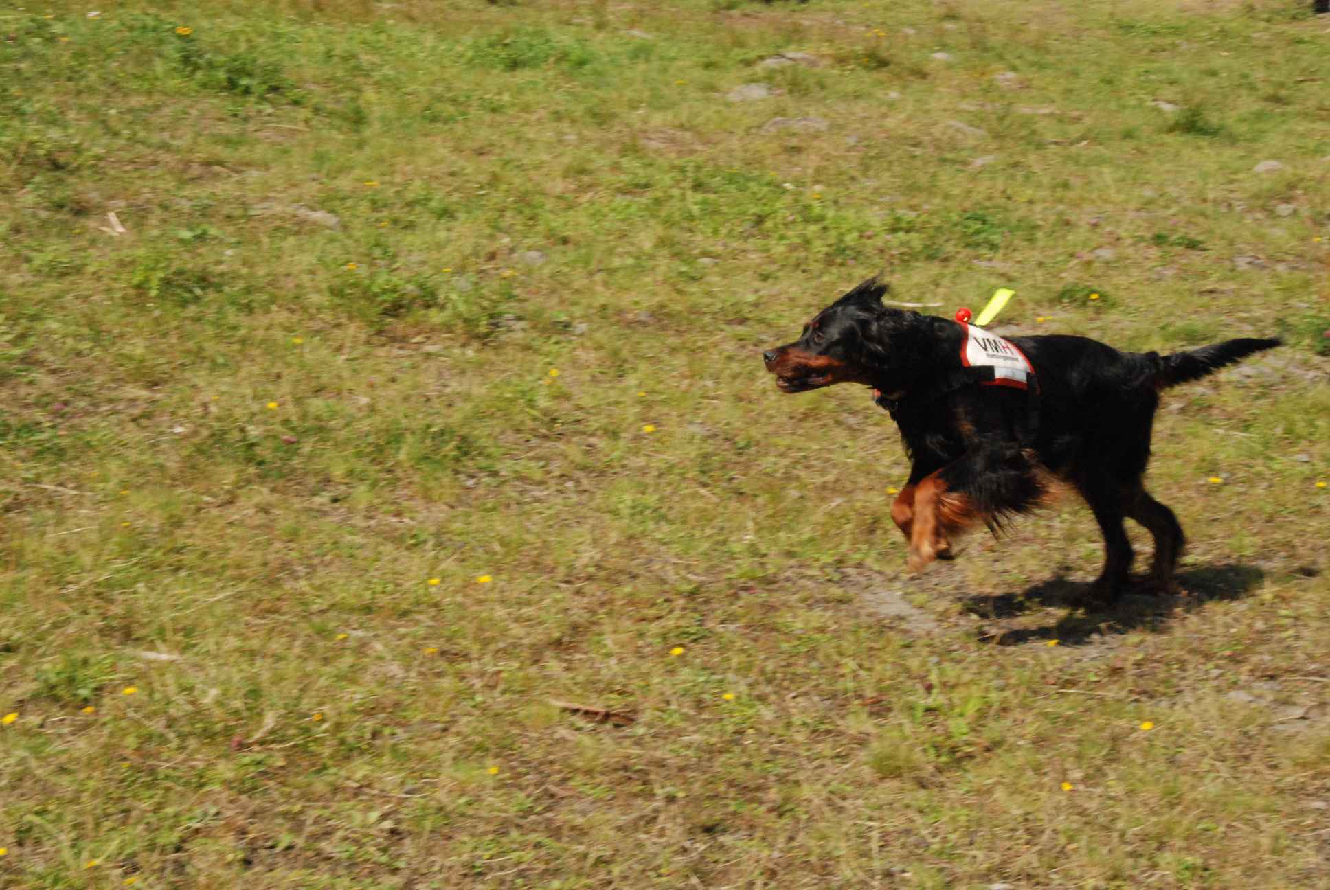 2009-08-23_ntb_6812