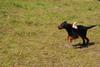 2009-08-23_ntb_6812