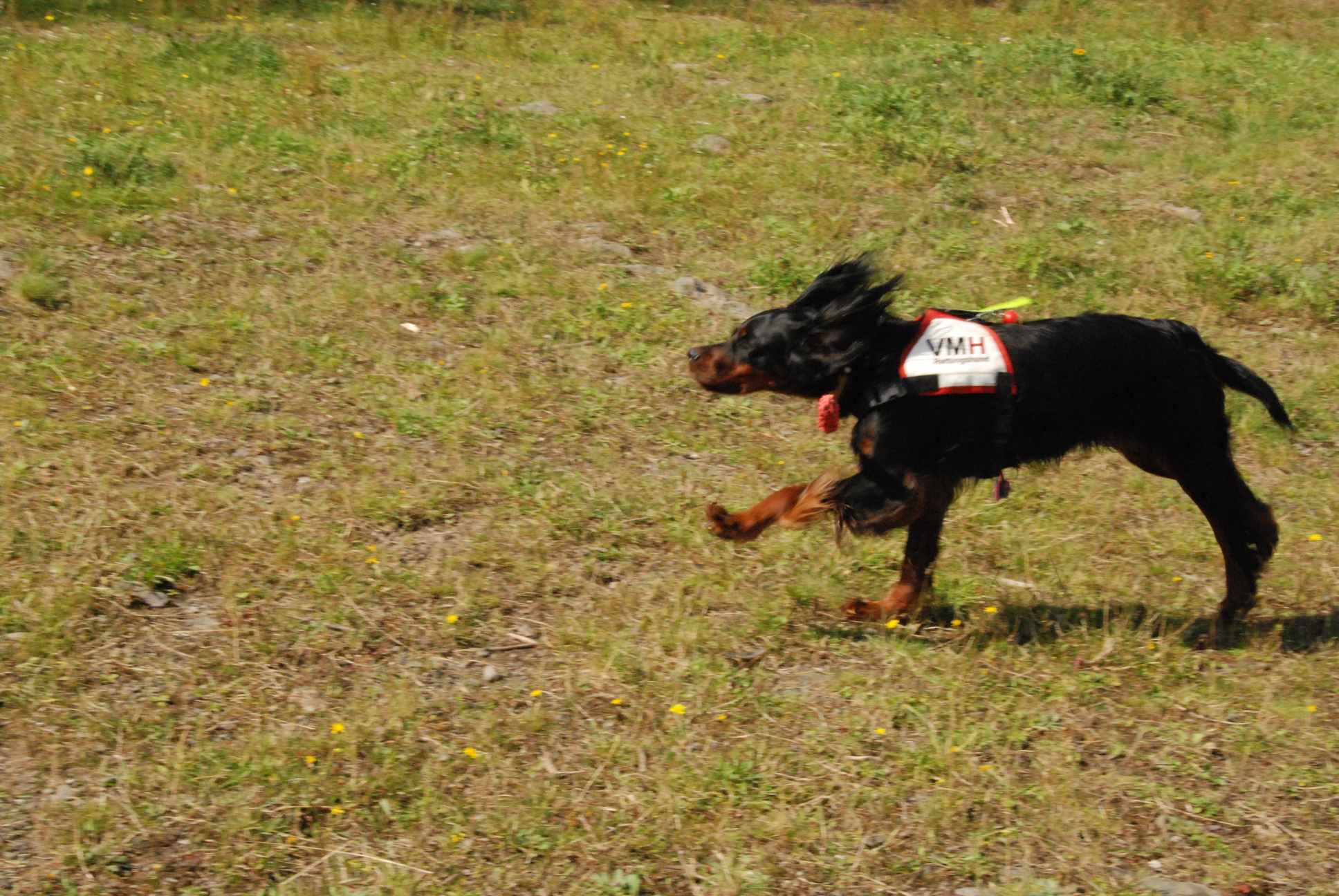 2009-08-23_ntb_6813