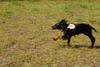 2009-08-23_ntb_6813