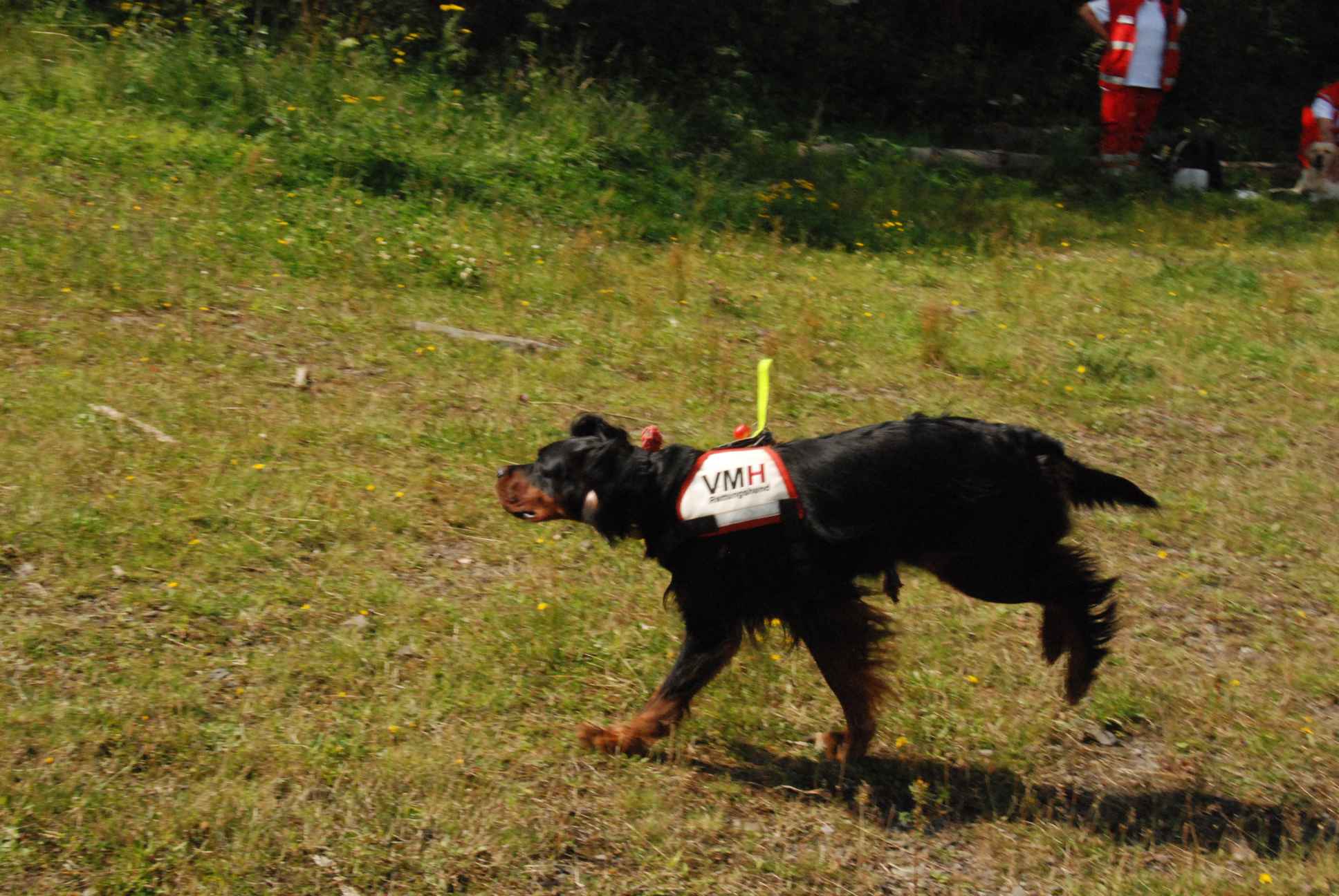 2009-08-23_ntb_6814
