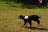 2009-08-23_ntb_6814