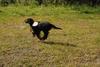 2009-08-23_ntb_6815