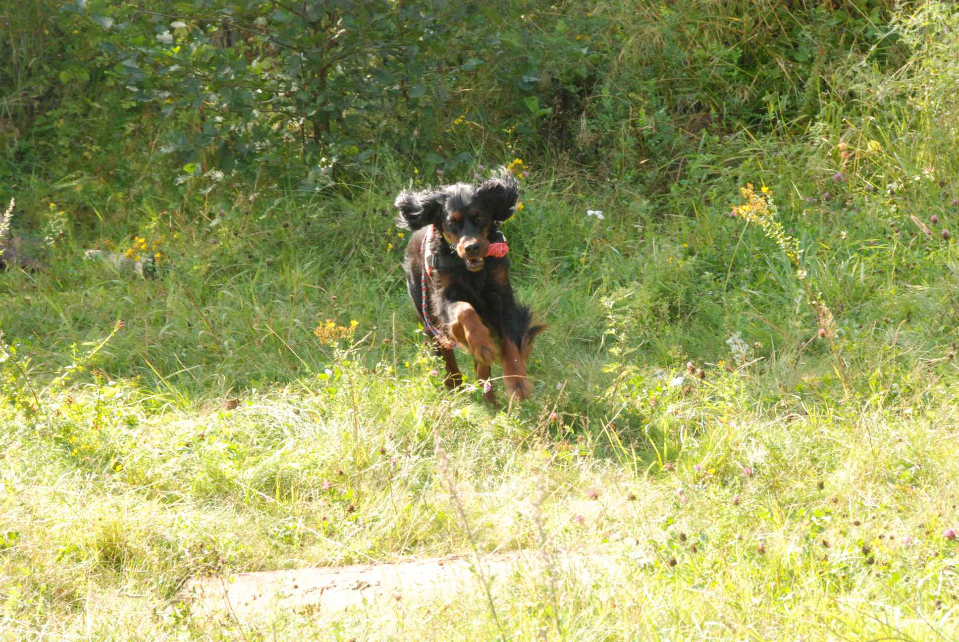 2009-08-23_ntb_6816
