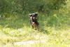 2009-08-23_ntb_6816