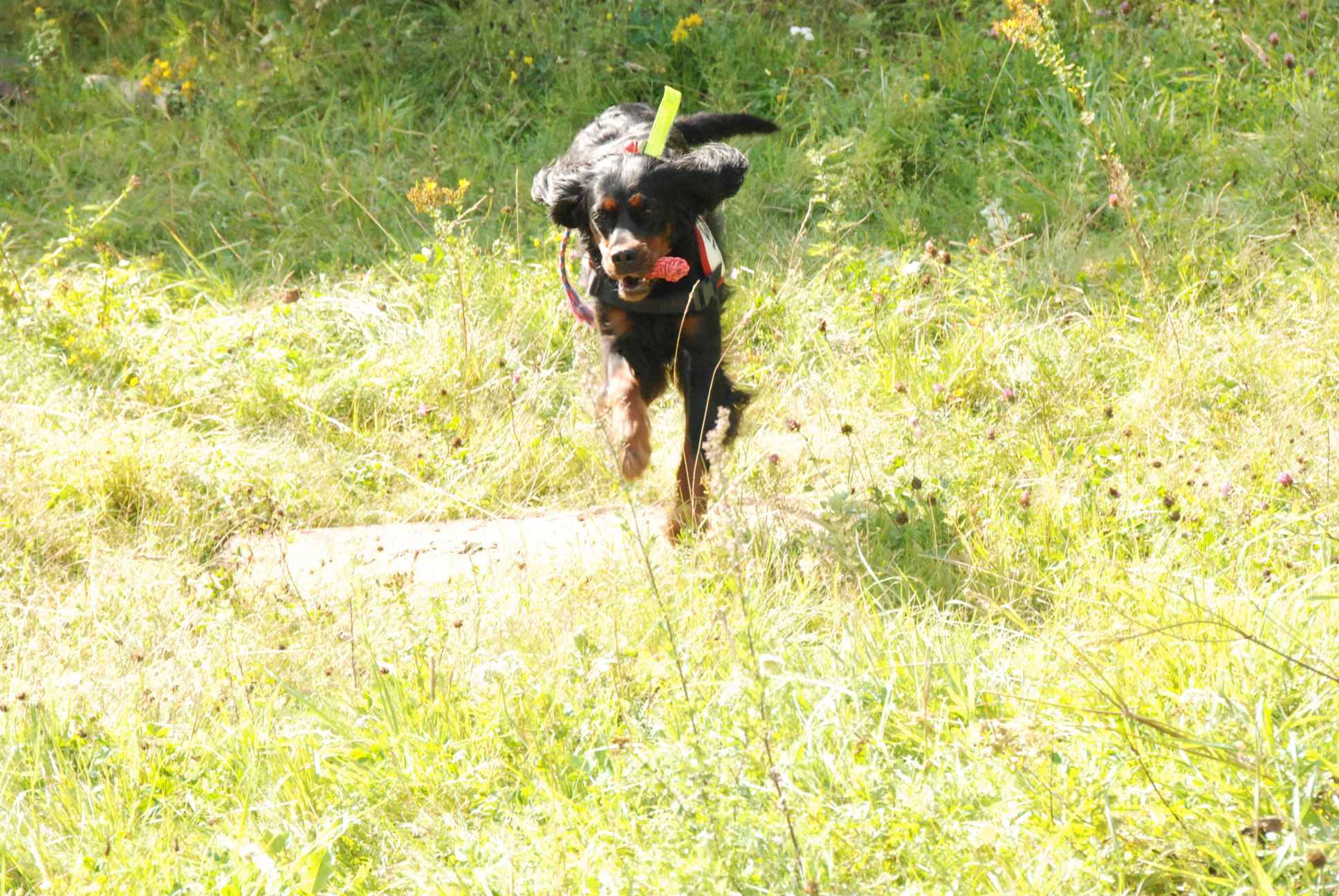2009-08-23_ntb_6817