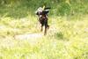 2009-08-23_ntb_6817