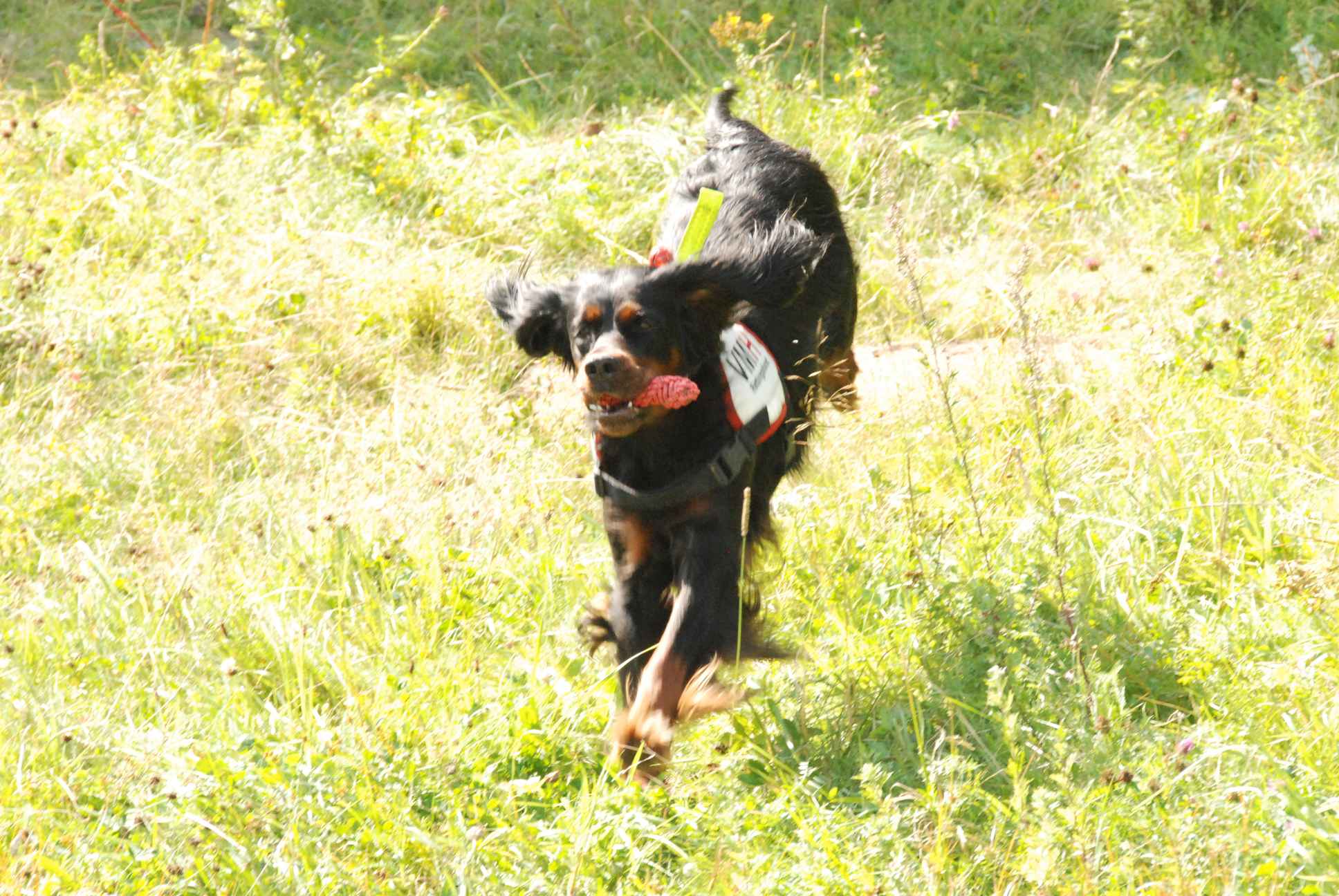 2009-08-23_ntb_6818