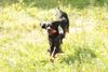 2009-08-23_ntb_6818
