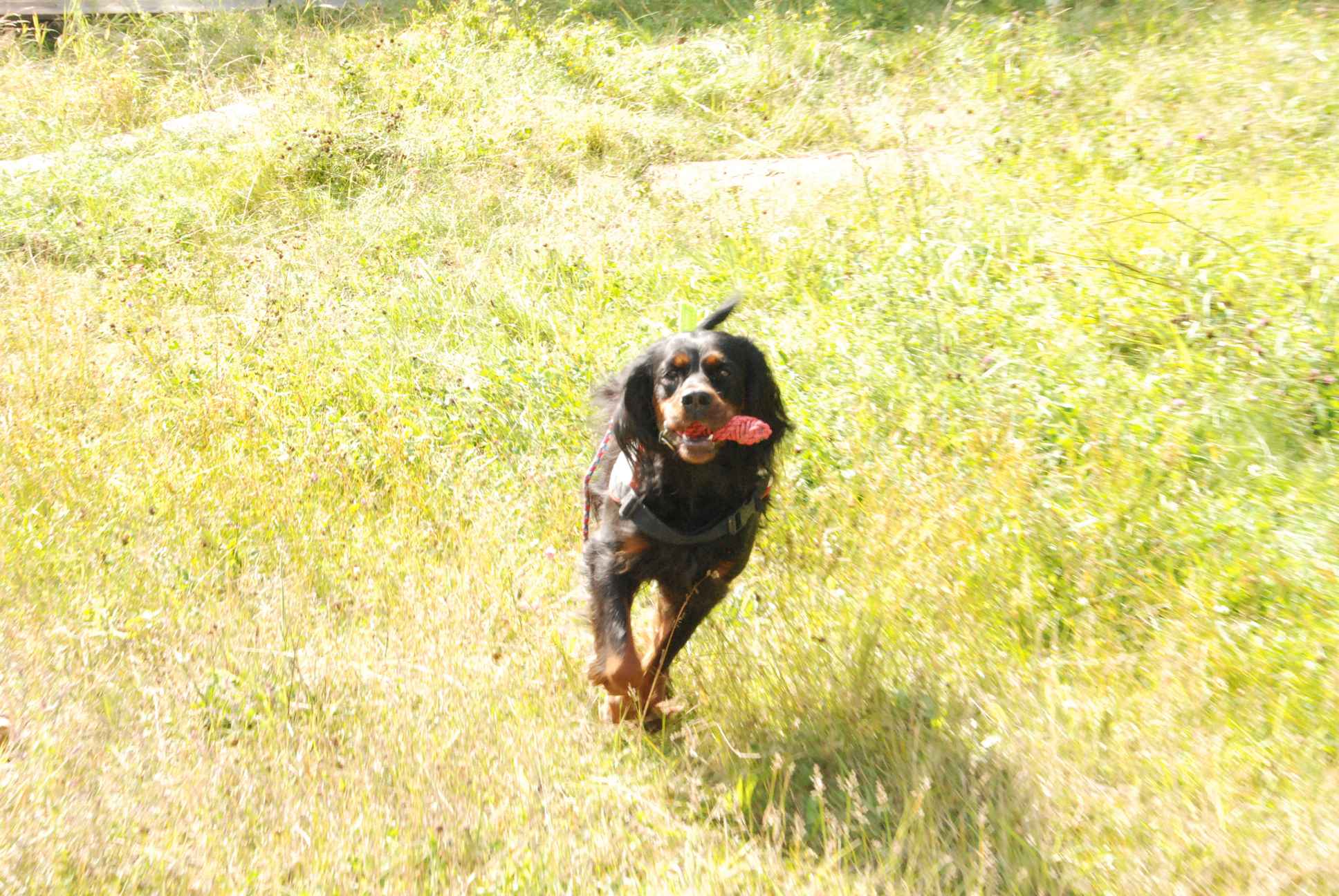 2009-08-23_ntb_6819