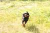 2009-08-23_ntb_6819