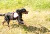 2009-08-23_ntb_6820