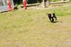 2009-08-23_ntb_6894