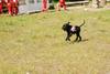 2009-08-23_ntb_6895