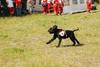 2009-08-23_ntb_6896