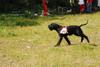 2009-08-23_ntb_6897