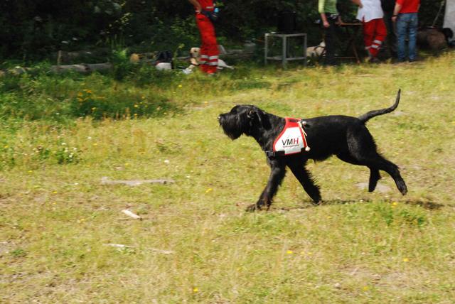 2009-08-23_ntb_6897