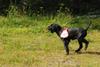 2009-08-23_ntb_6898